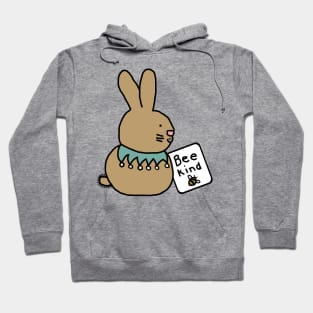 Cute Bunny Rabbit says Be Kind Hoodie